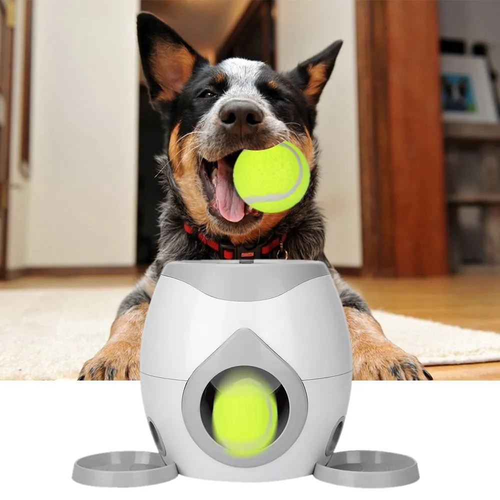 Automatic dog training ball launcher