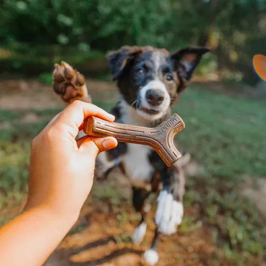 Benebone Maplestick  Dog Chew Toy