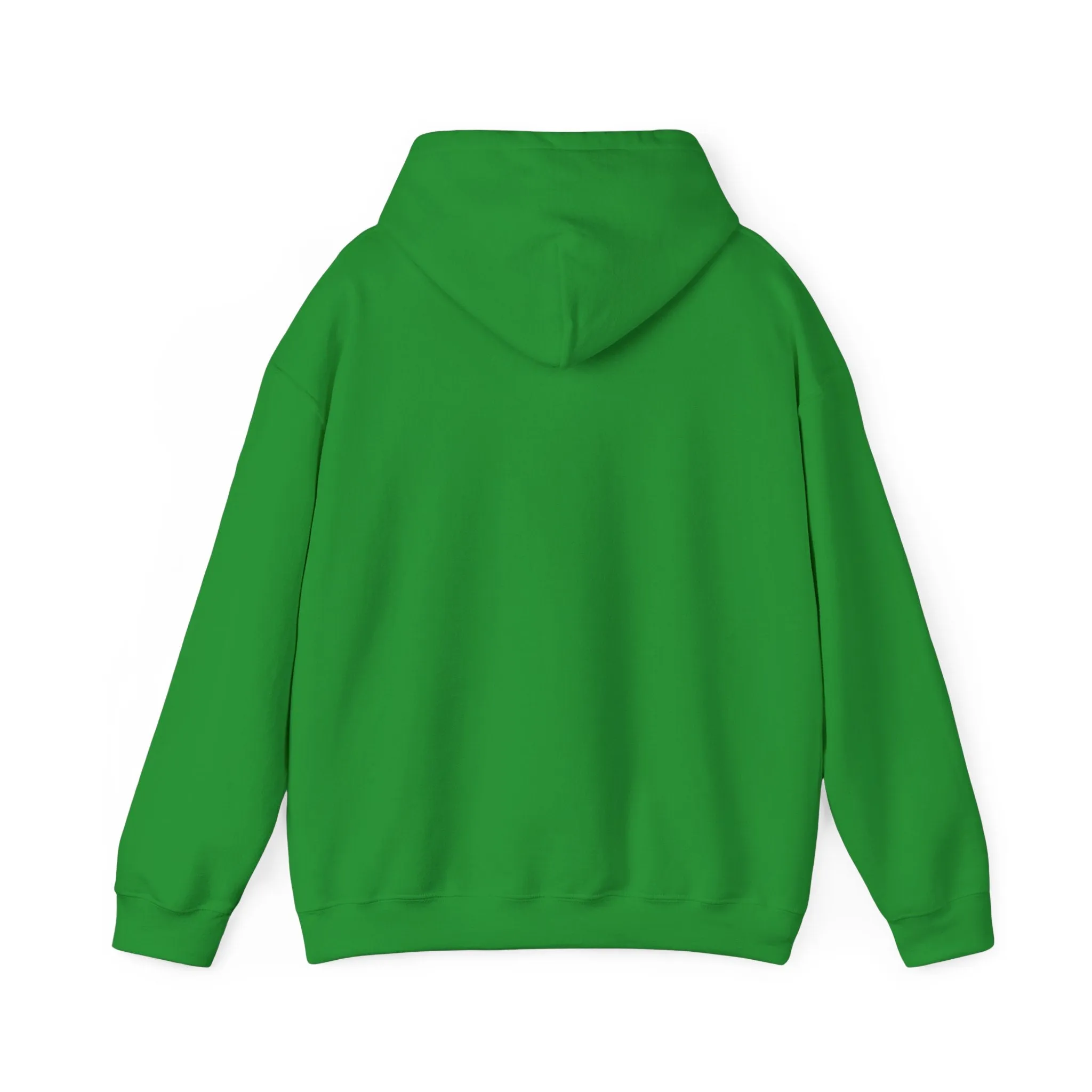 Indiana Weather Online Hoodie