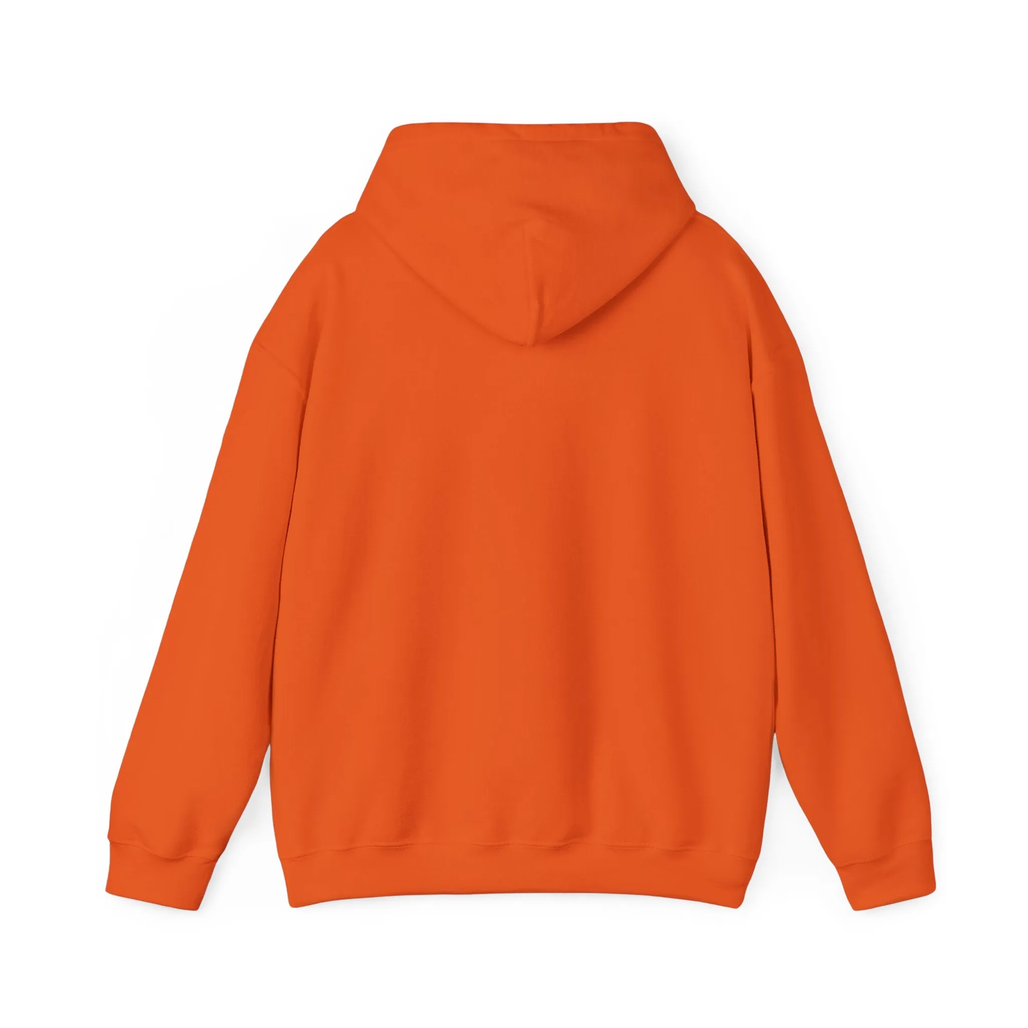 Indiana Weather Online Hoodie