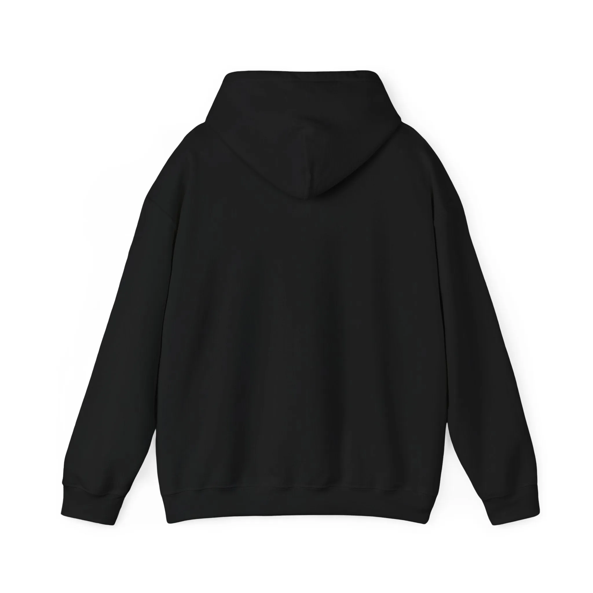 Indiana Weather Online Hoodie