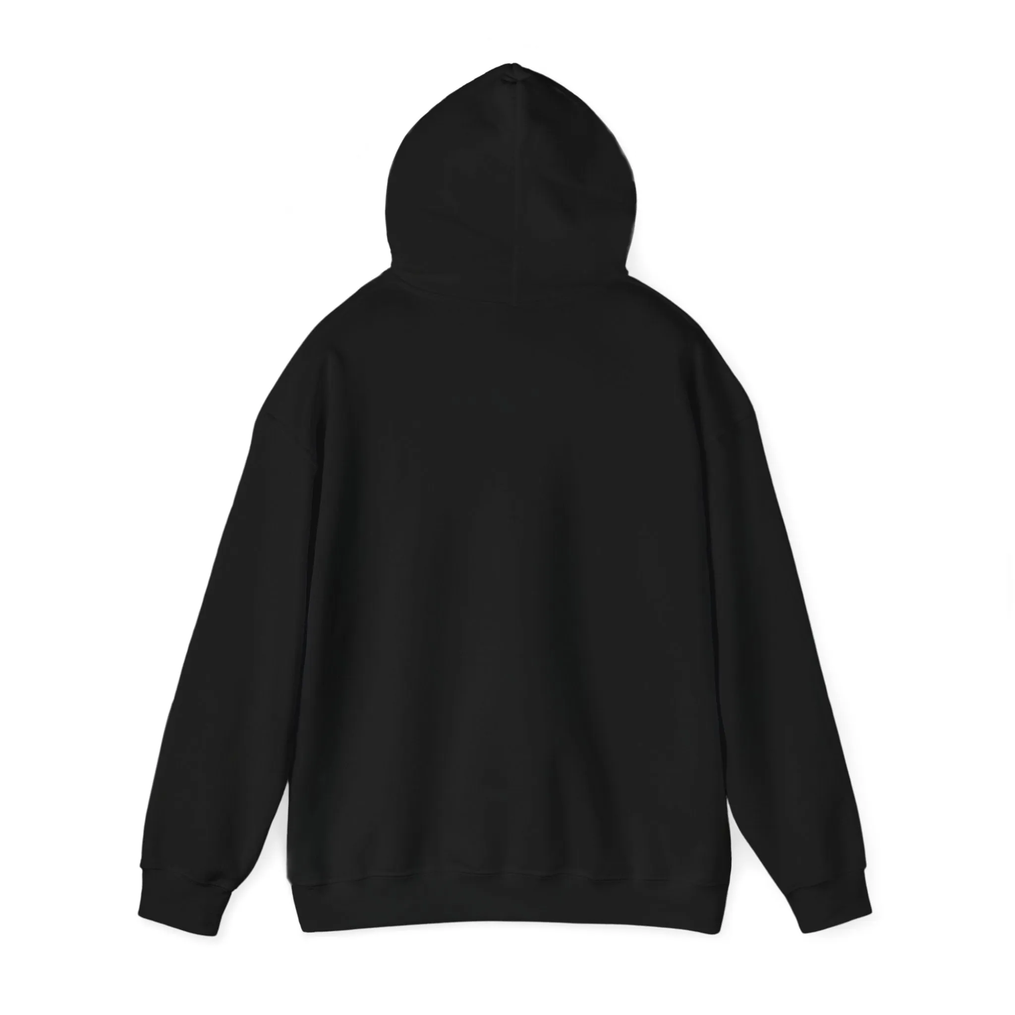 Indiana Weather Online Hoodie