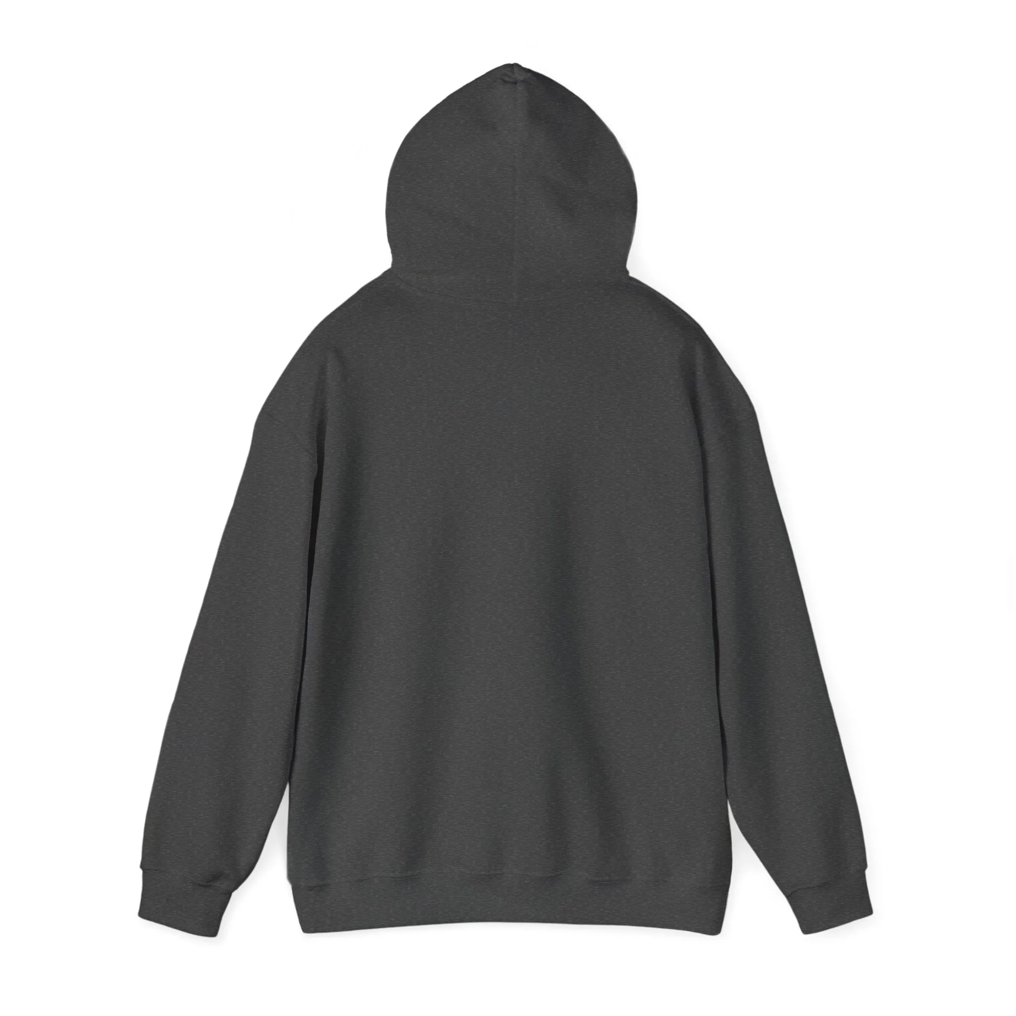 Indiana Weather Online Hoodie