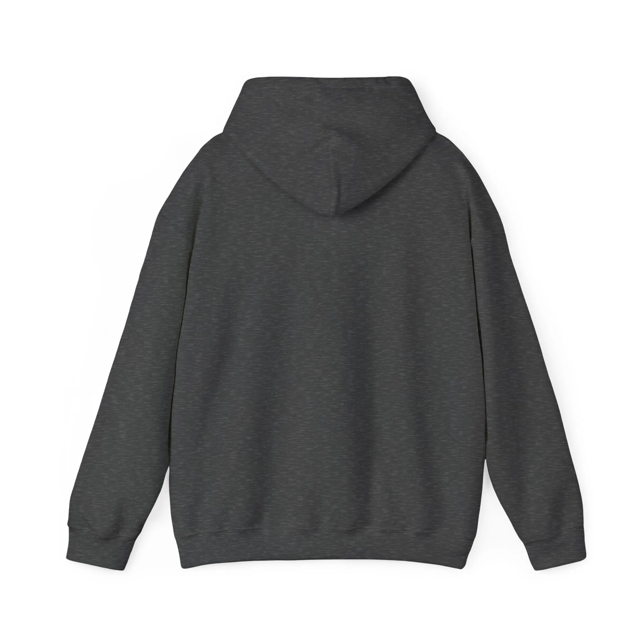 Indiana Weather Online Hoodie