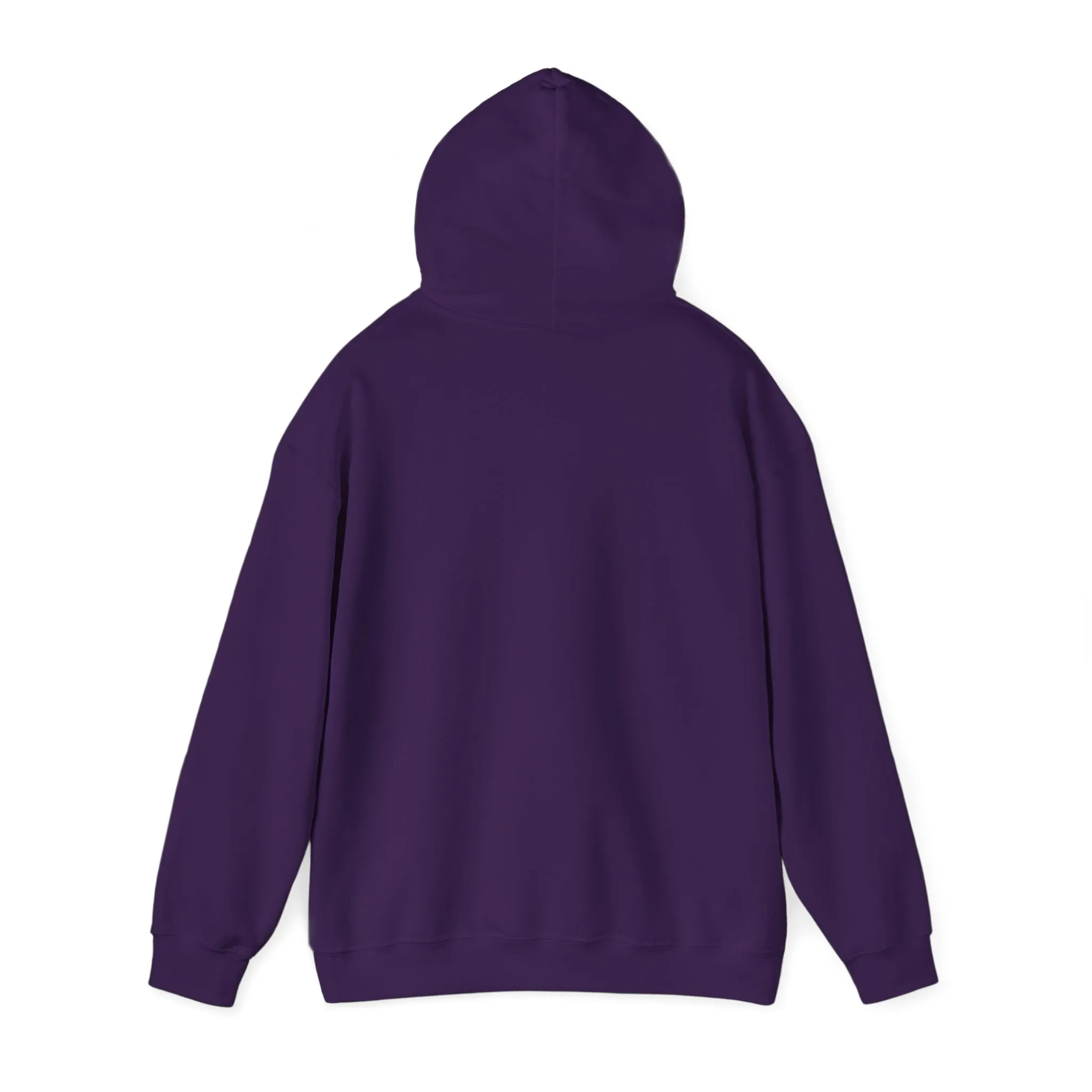 Indiana Weather Online Hoodie