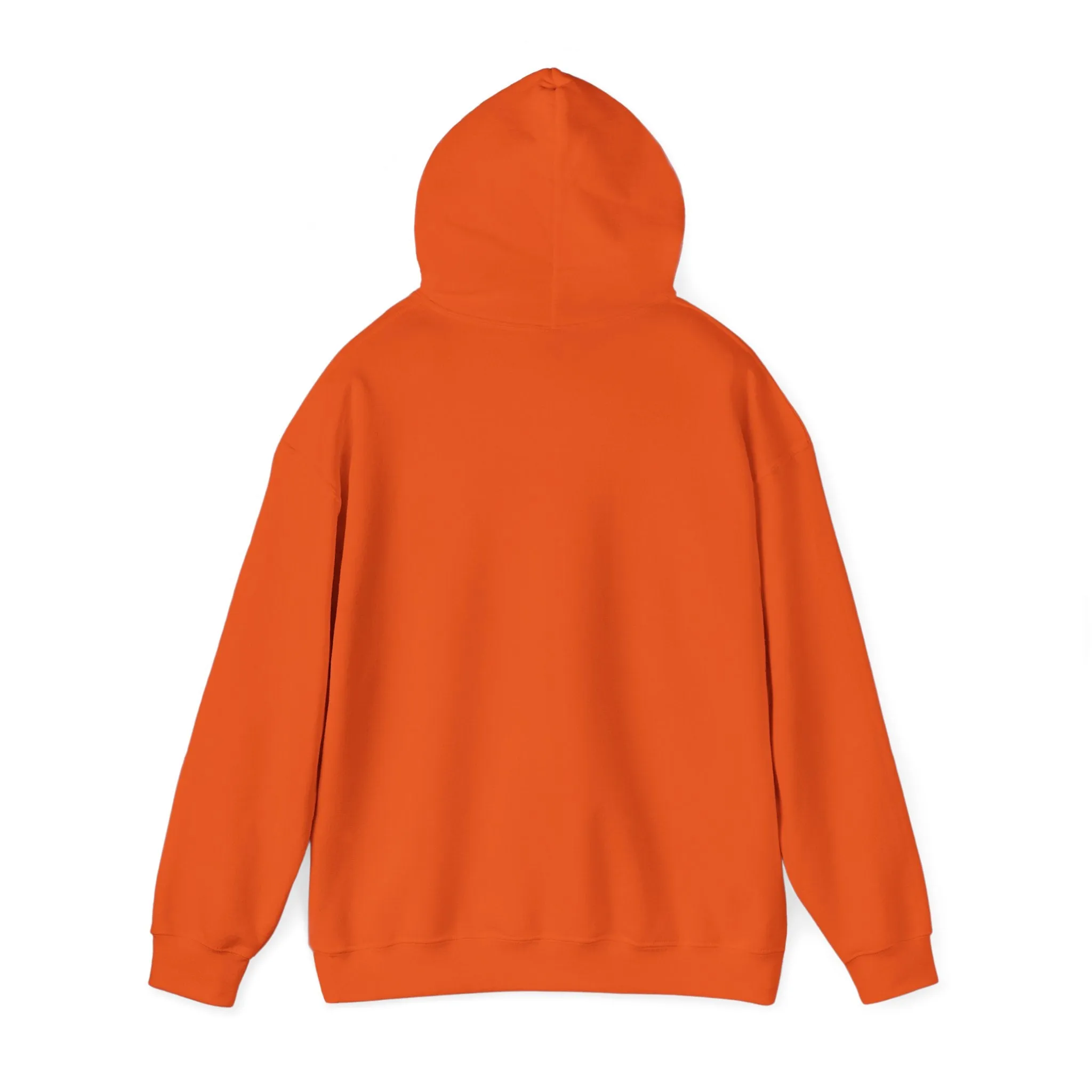 Indiana Weather Online Hoodie