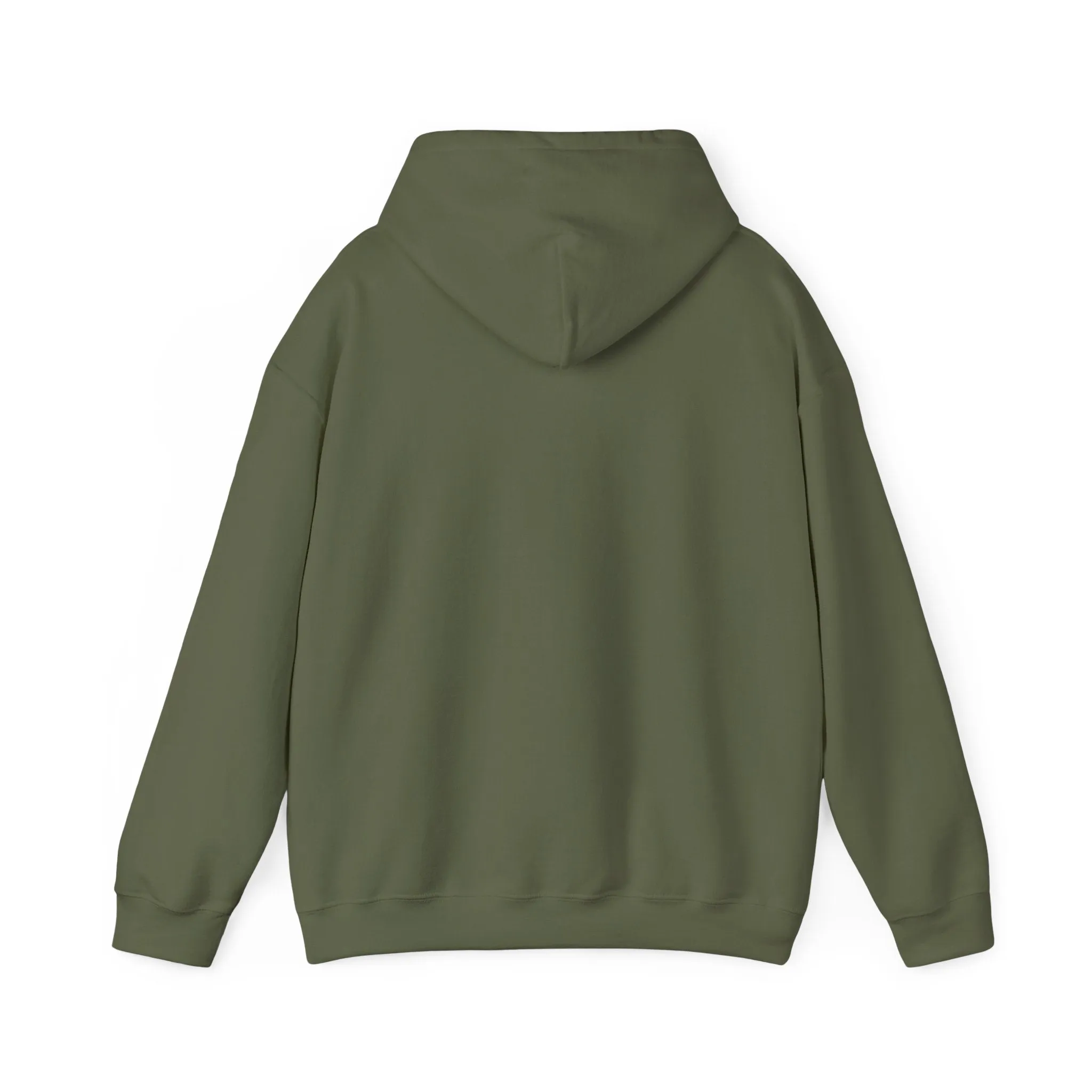 Indiana Weather Online Hoodie