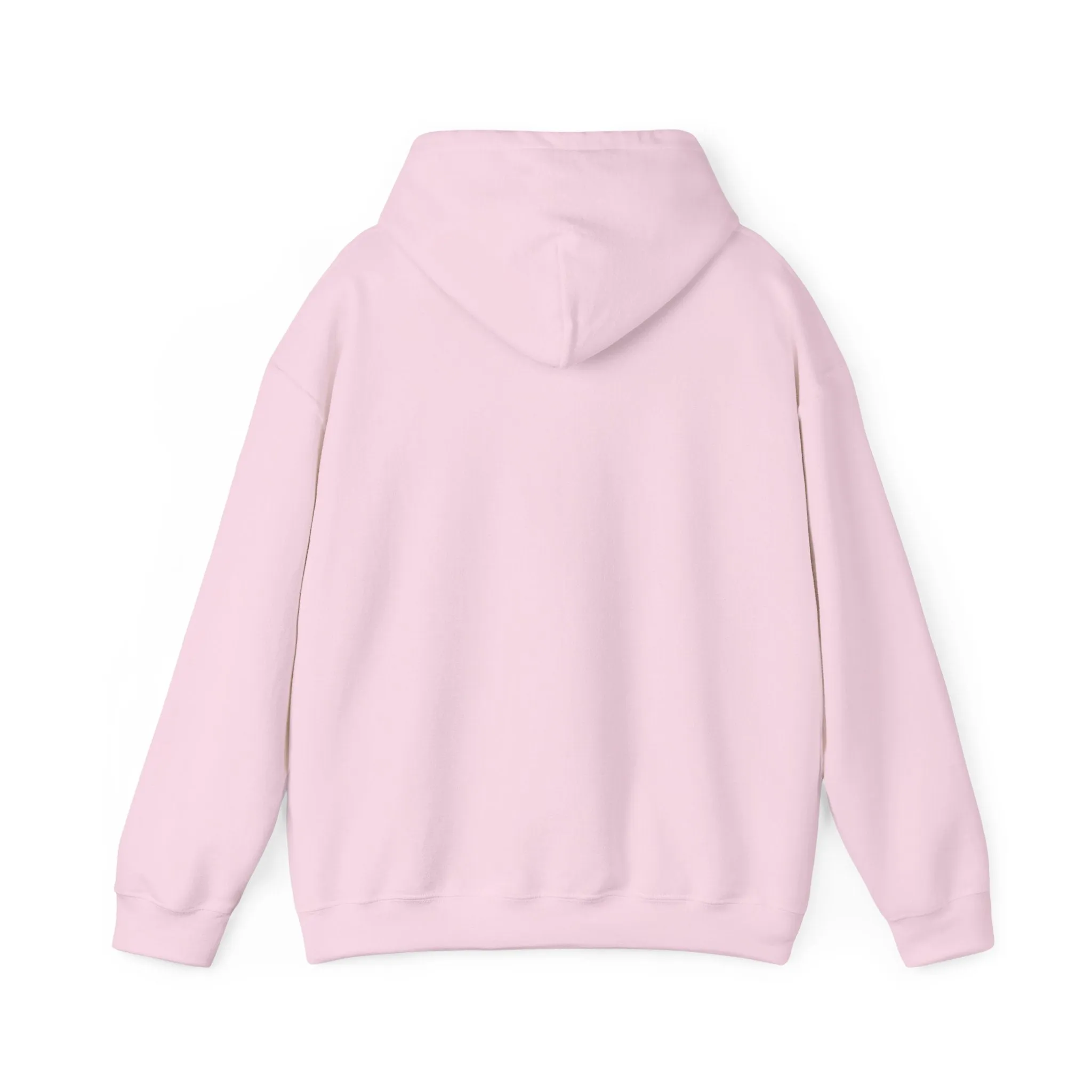 Indiana Weather Online Hoodie