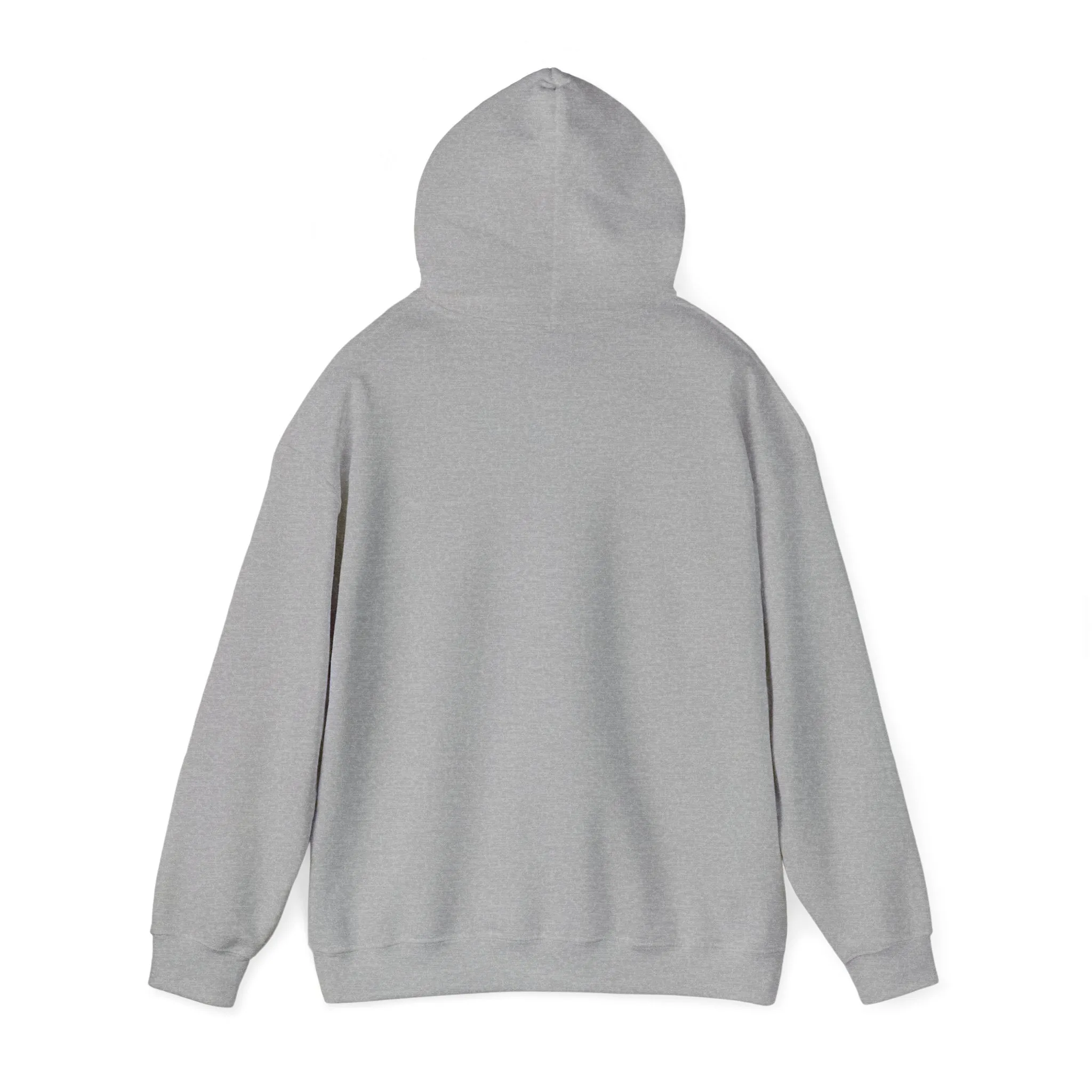 Indiana Weather Online Hoodie