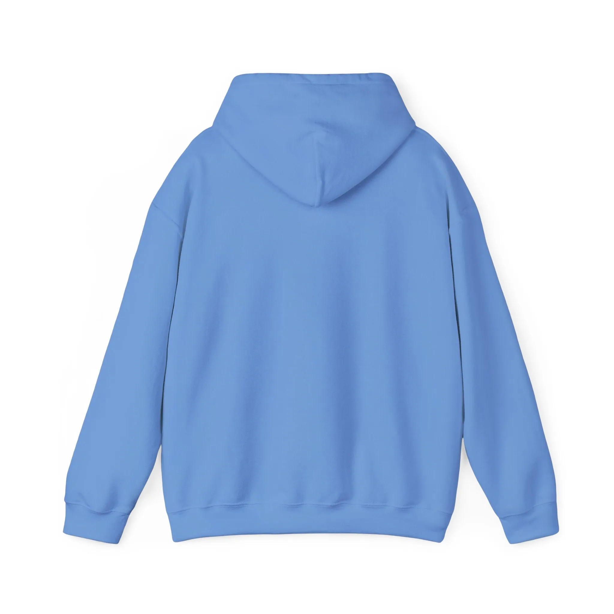 Indiana Weather Online Hoodie