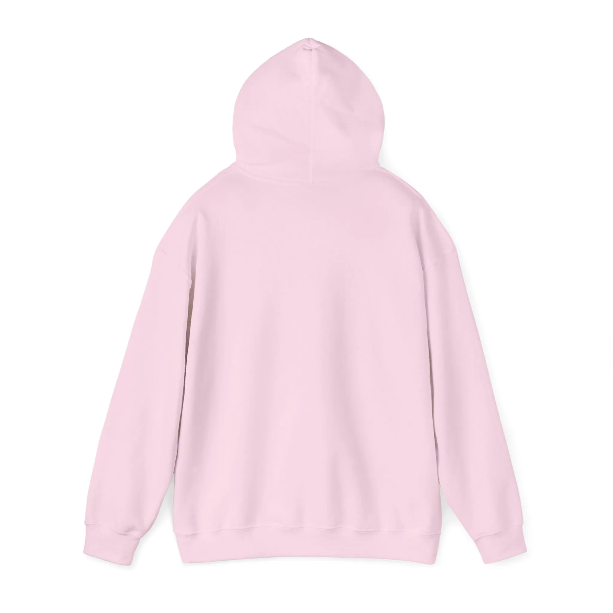 Indiana Weather Online Hoodie