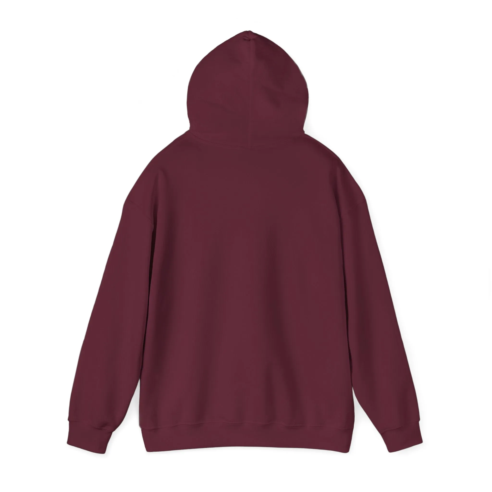 Indiana Weather Online Hoodie