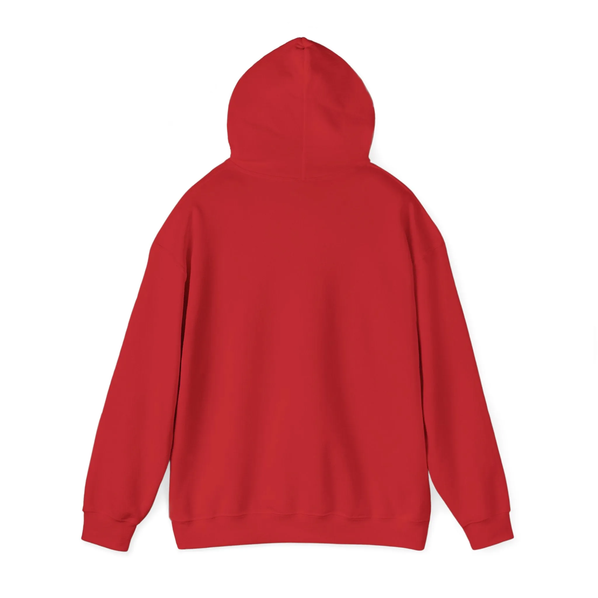 Indiana Weather Online Hoodie