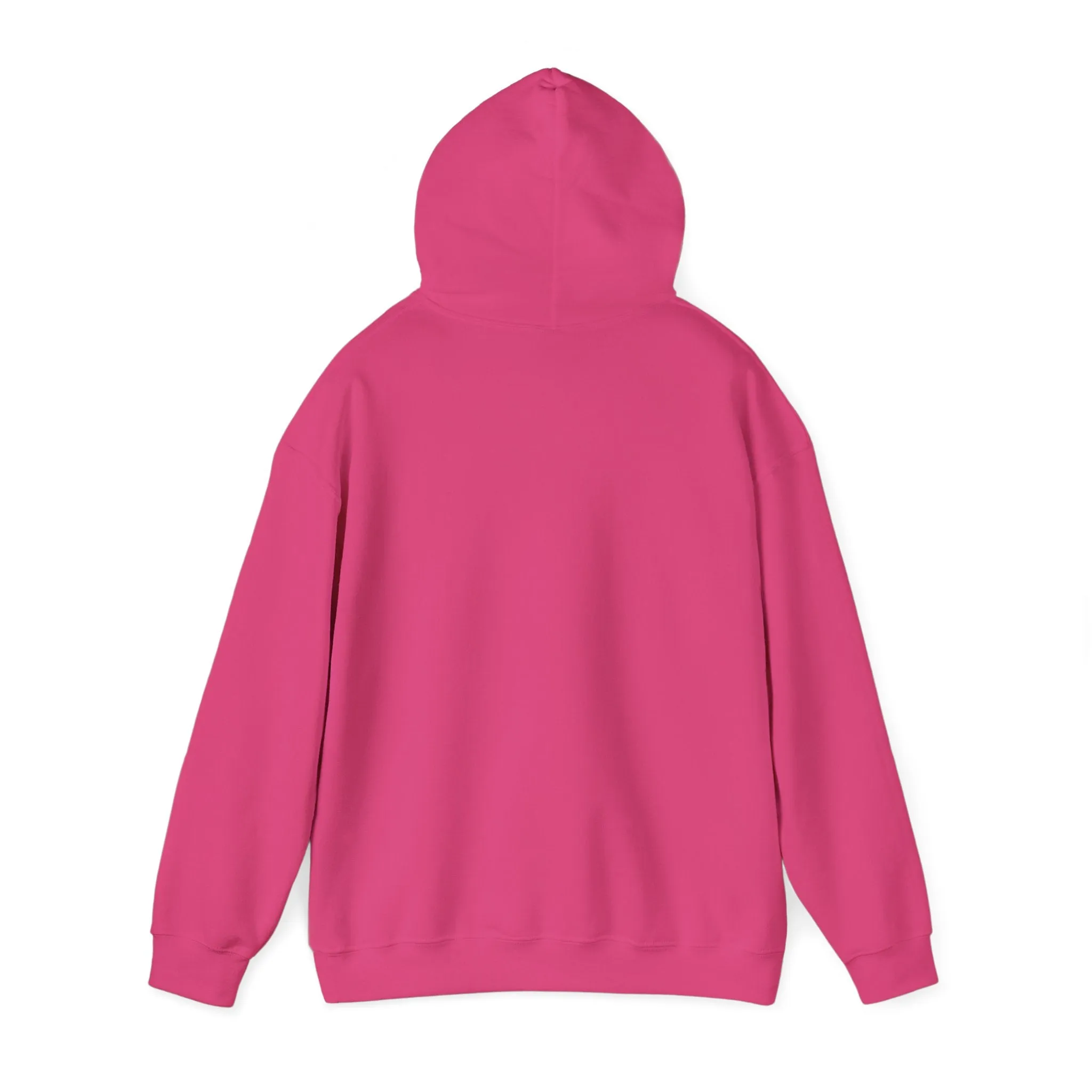 Indiana Weather Online Hoodie