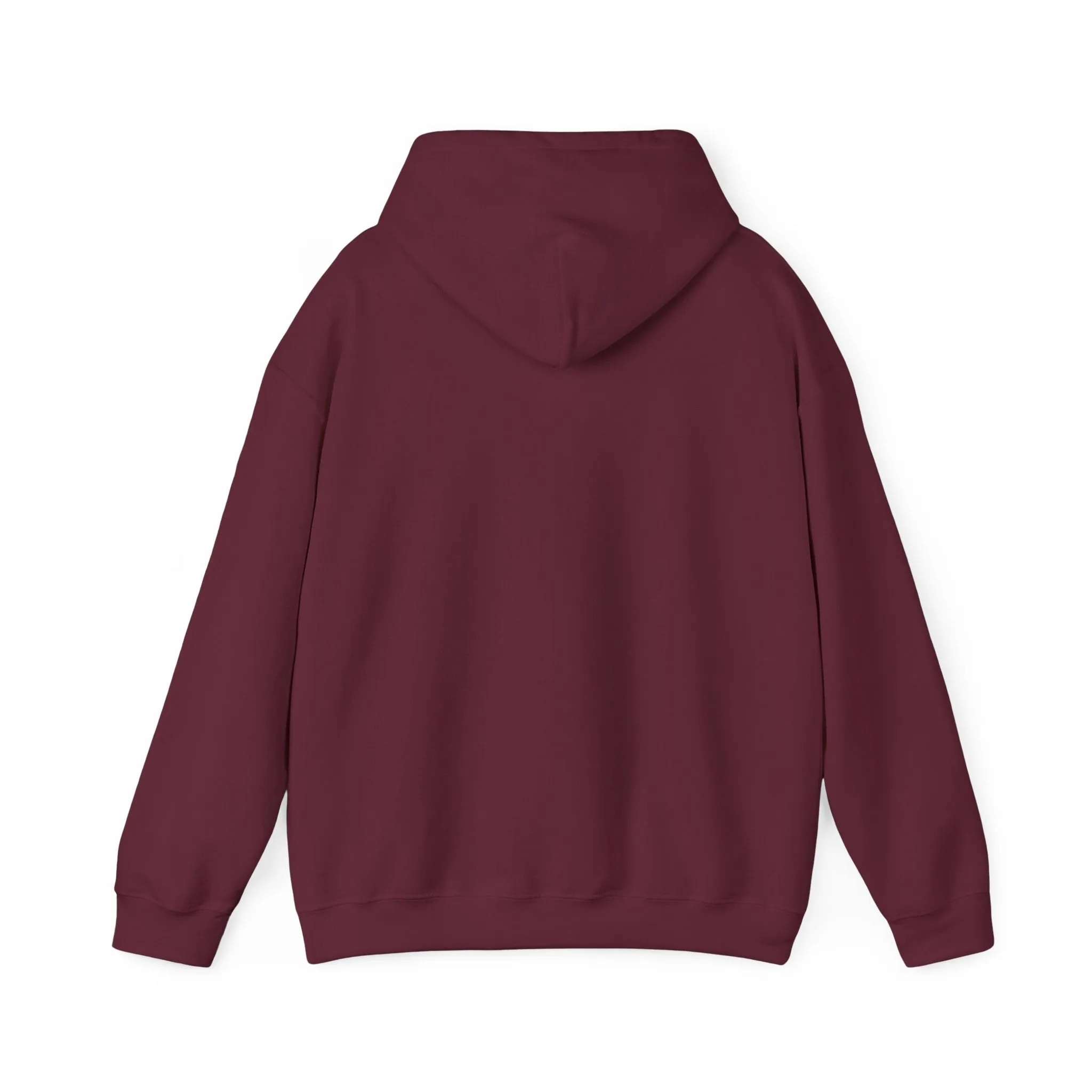 Indiana Weather Online Hoodie