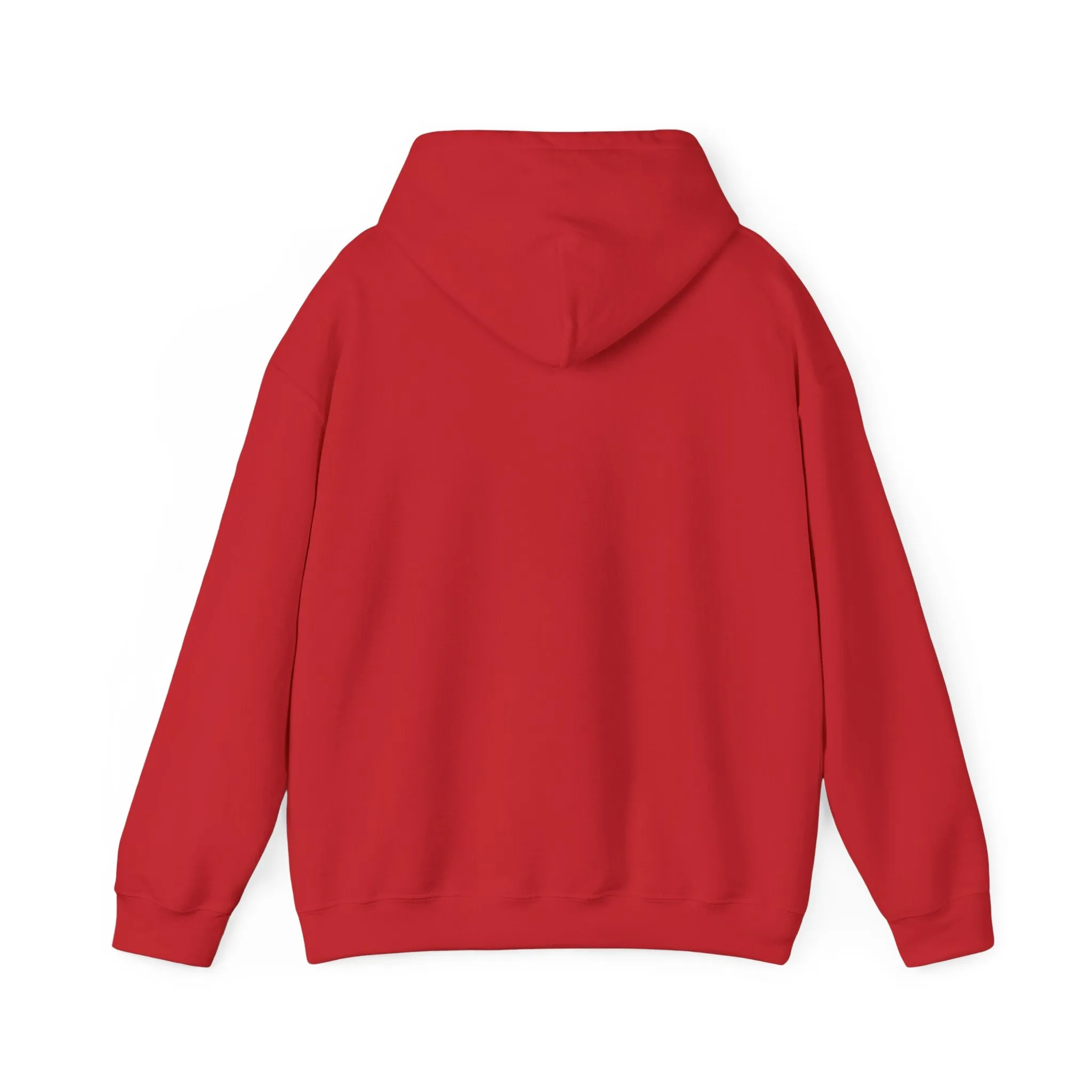 Indiana Weather Online Hoodie