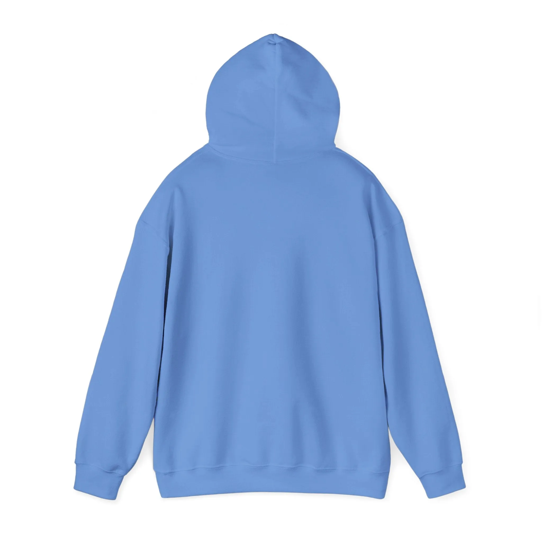 Indiana Weather Online Hoodie