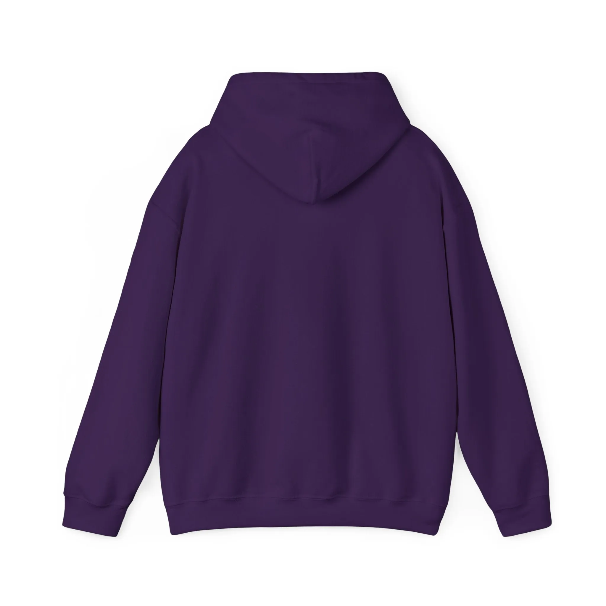 Indiana Weather Online Hoodie