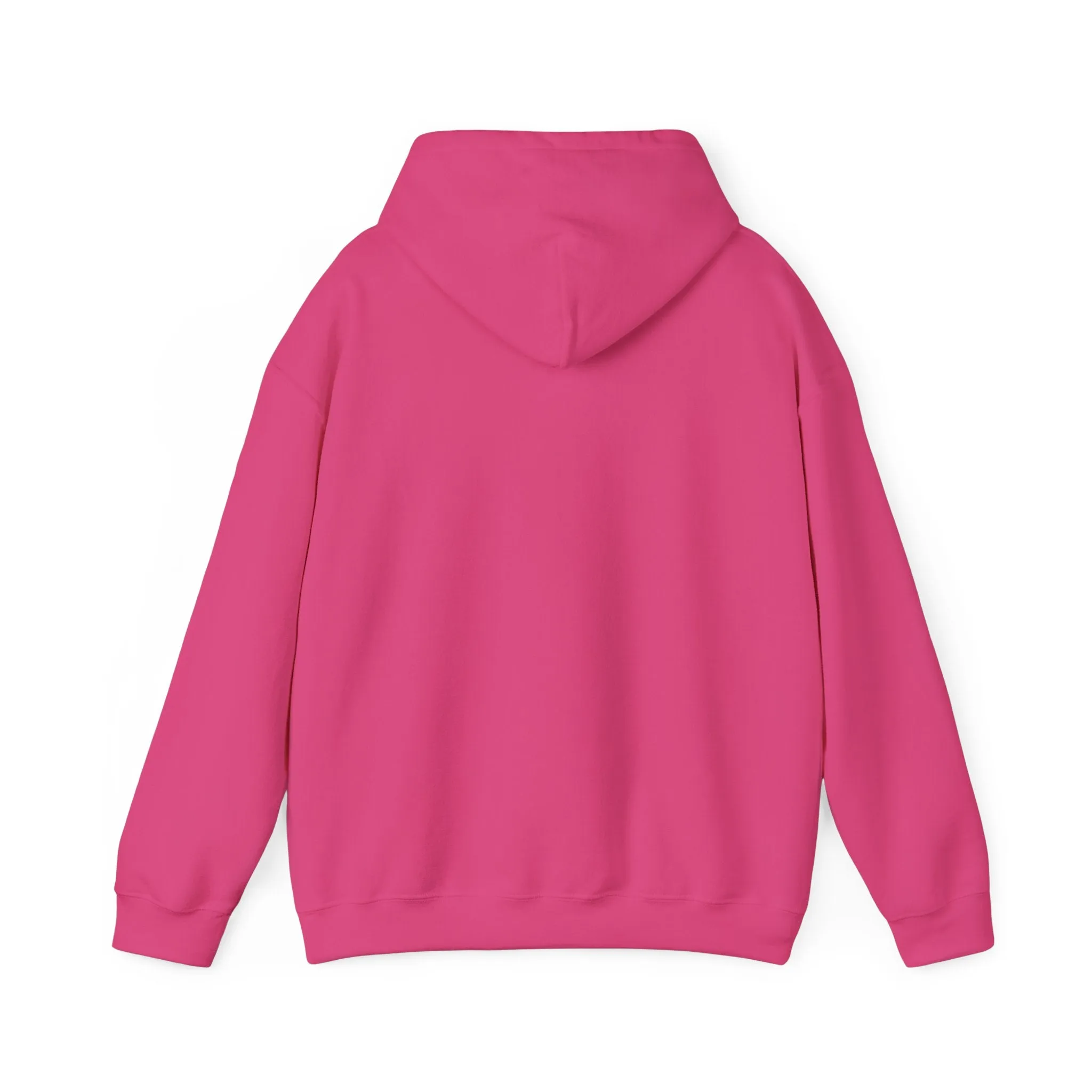 Indiana Weather Online Hoodie