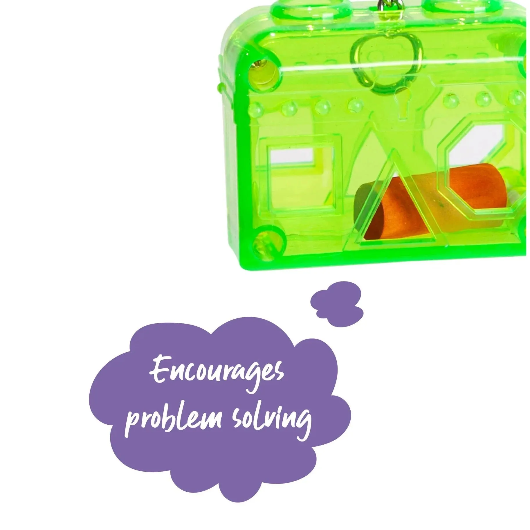 Kazoo Bird Toy Acrylic Puzzle Box Small
