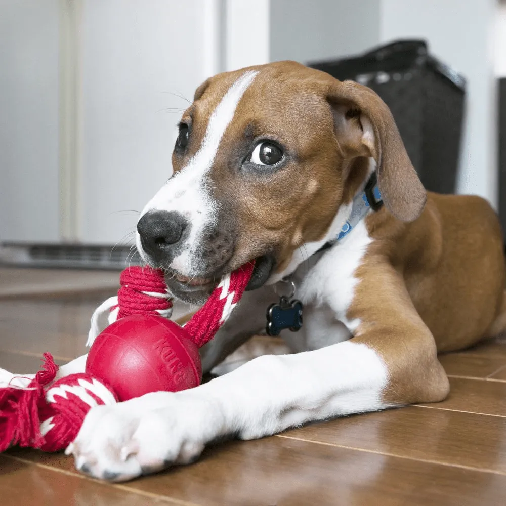 Kong Ball With Rope Toy for Dogs