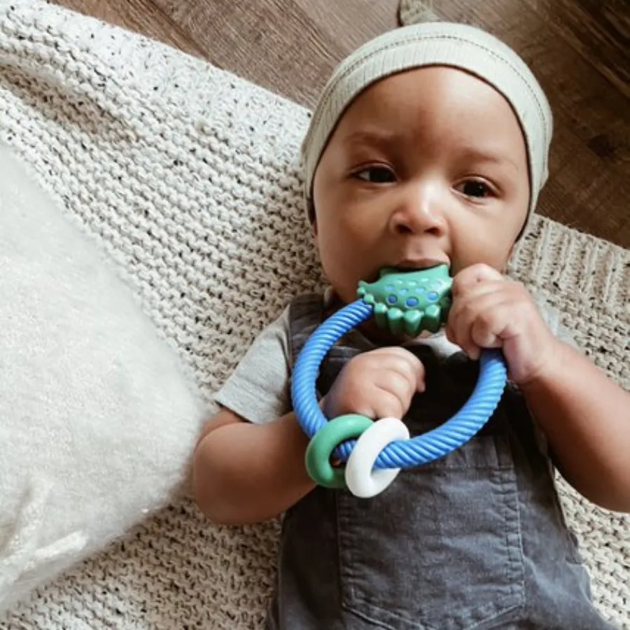Ritzy Rattle Silicone Teether Rattles: Dino